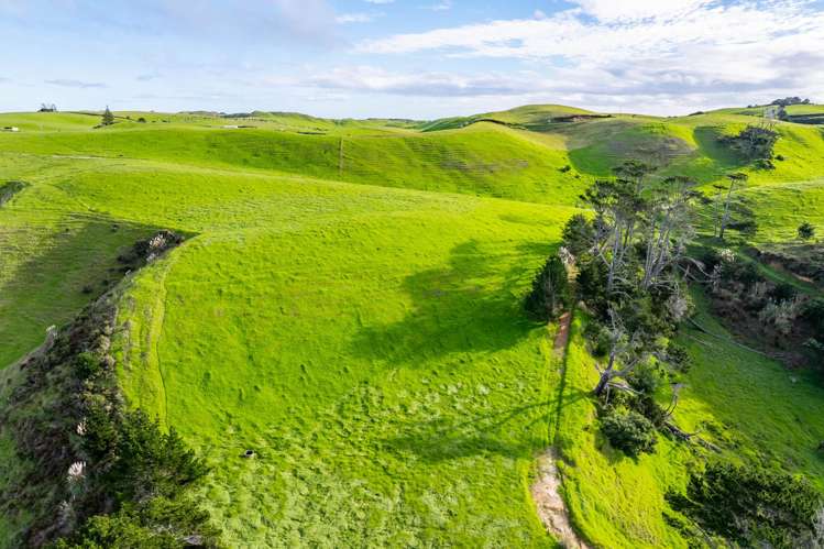 Lots 2, 3 and 4 Mahuta Road Dargaville_3