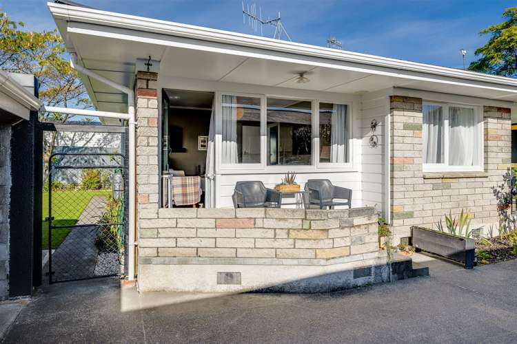 4/29 Mcdonald Street Napier South_16