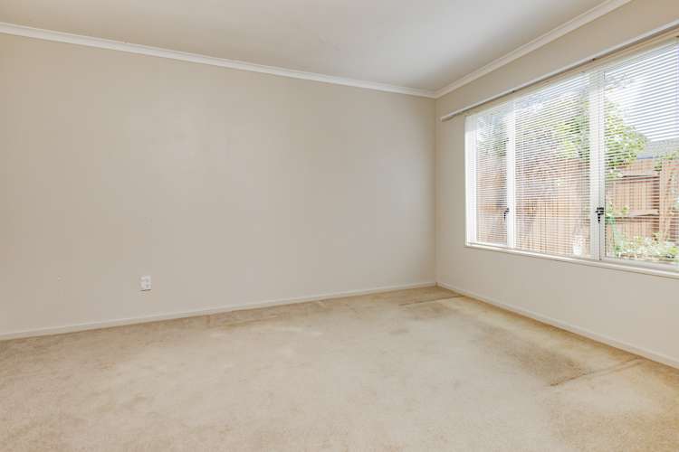 2/19 Riverview Road Panmure_13