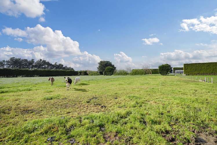 468 Lorne Dacre Road Roslyn Bush_28