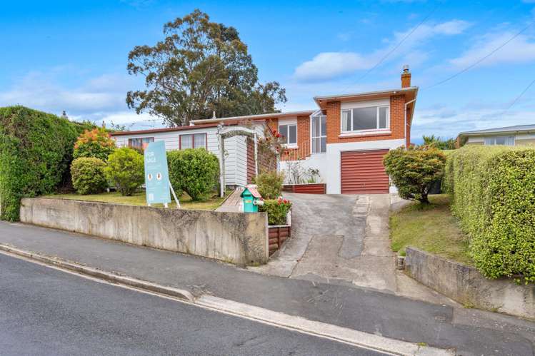 36 Campbells Road Pine Hill_23