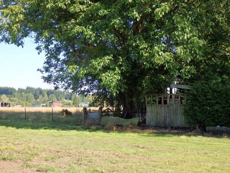 252b Talbot Street Geraldine_1