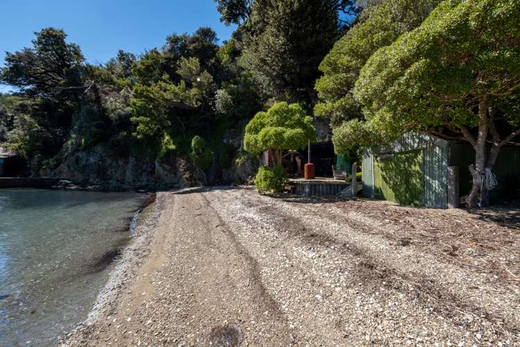 Port Underwood Road Port Underwood_5