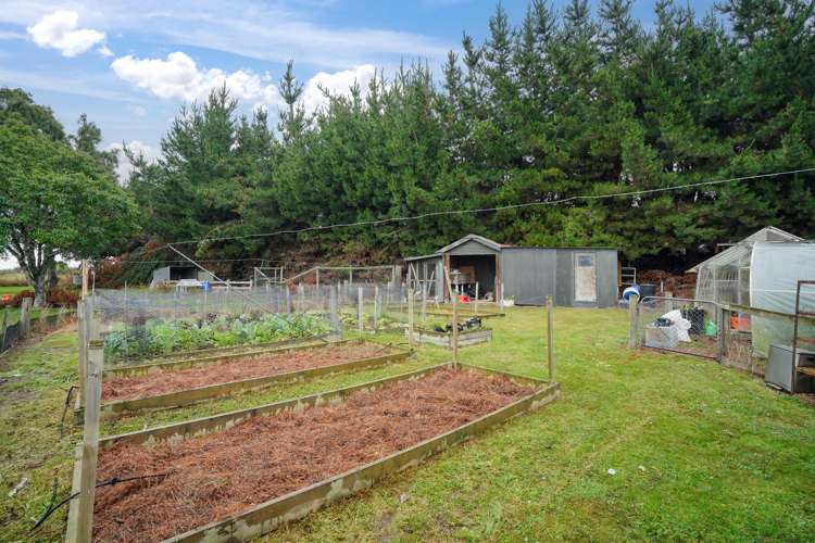 147 Thomsons Crossing Road West Thomsons Crossing_13