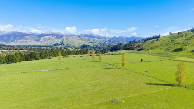 1139 Blackburn Road Ongaonga_4