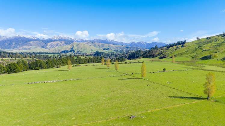 1139 Blackburn Road Ongaonga_4