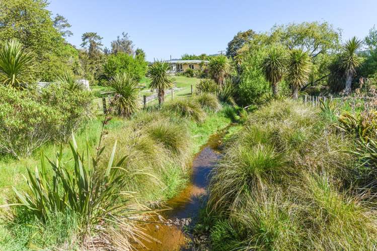 915 Thorpe-Orinoco Road, Dovedale Ngatimoti_44