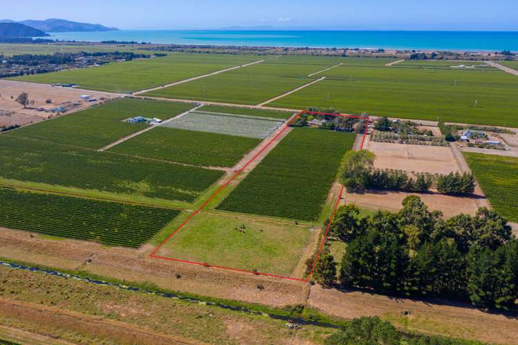 140 Neal Road Spring Creek_14