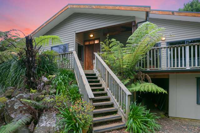 45 Mangotahi Road Thames_2