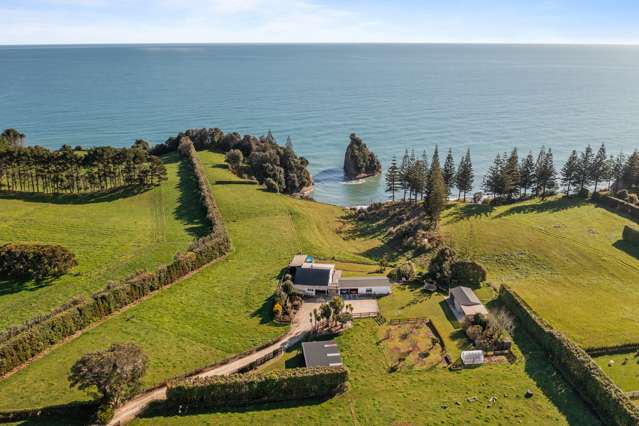 52 Beach Road Urenui_4