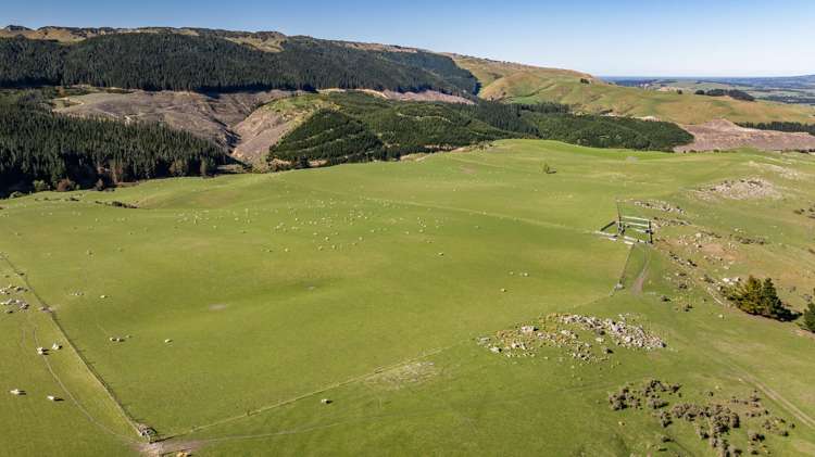 614 Omihi Road Omihi_6