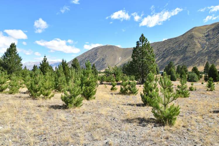 10 Flanagan Lane Twizel_7