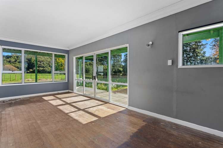 101 Foster Road Taneatua_8