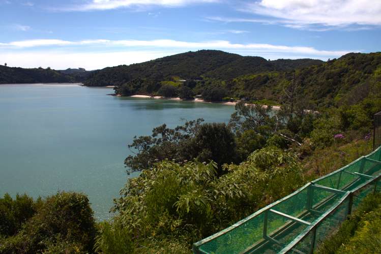 215K Awaawaroa Bay, Waiheke Island Awaawaroa Bay_15