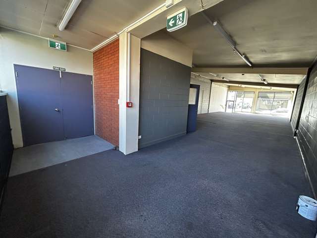 195 Hanover Street Dunedin Central_3