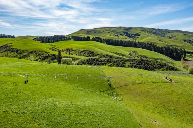 558 Leader Road West Waiau_7