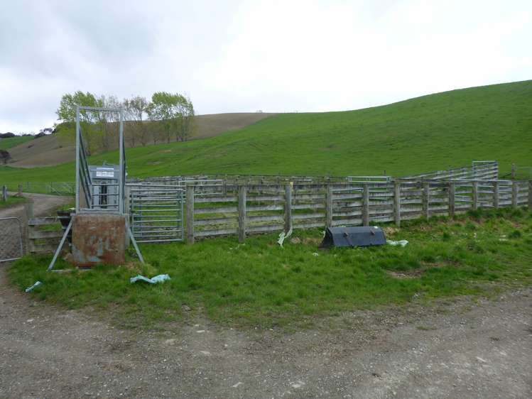 Glenledi Road Milton_7