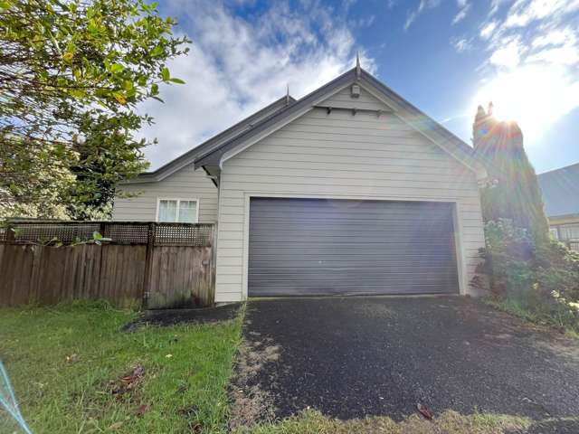 55 Wingate Street Avondale_1