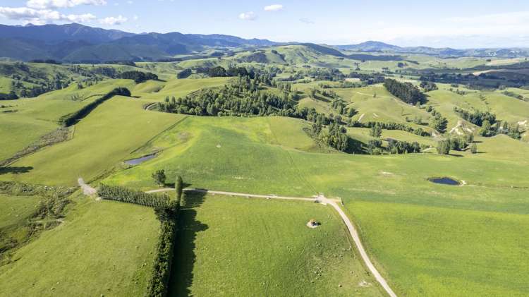 188 Burnetts Road Kaituna_14