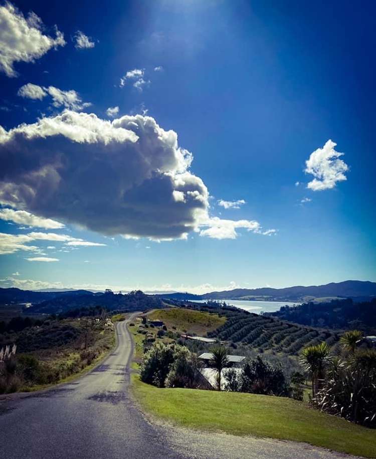 92 Frantoio Ridge Road Mangonui_21