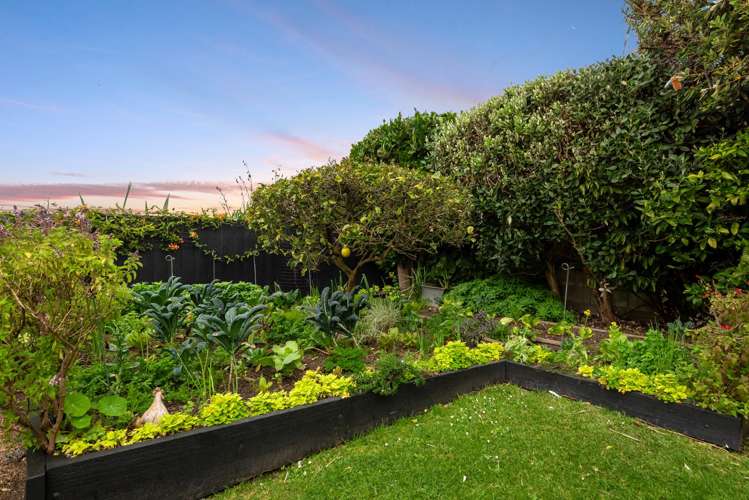 22 John Dee Crescent Red Beach_12