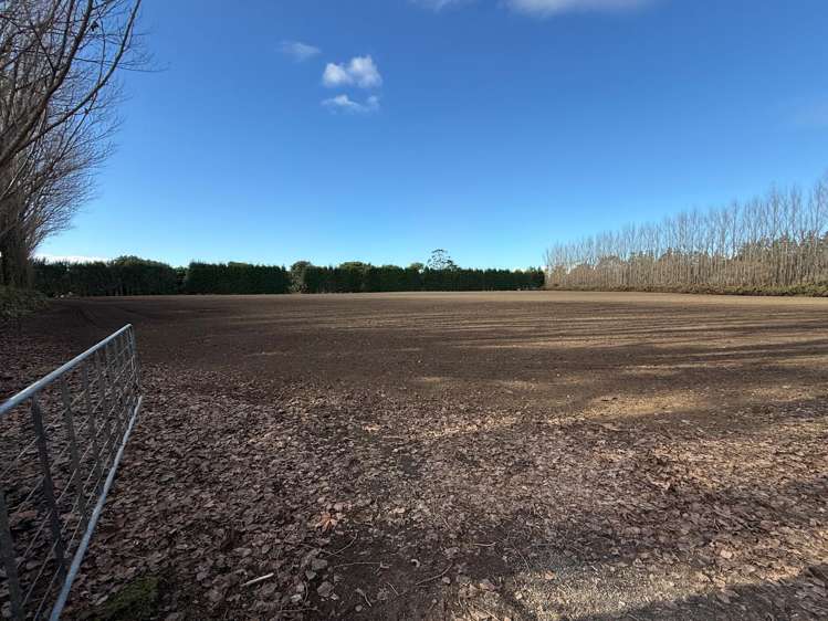 58 Rawaka Drive Katikati_10