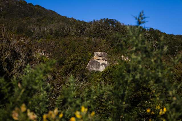 53 Oxford Street Taylorville_3