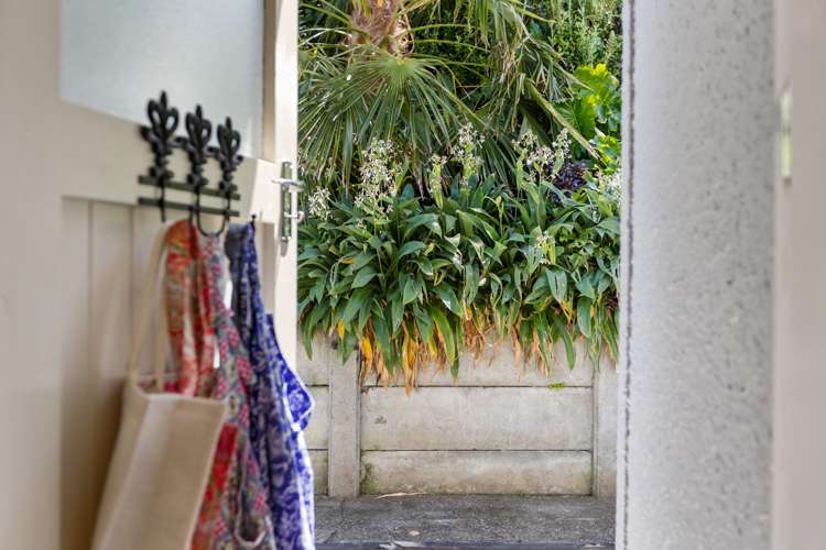 98a Young Street New Plymouth Central_21