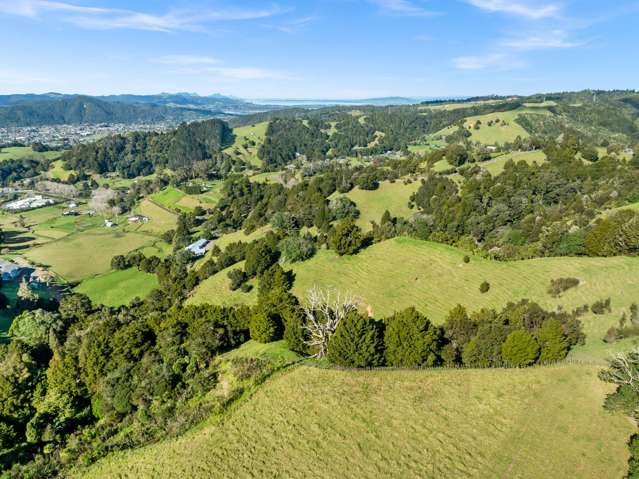 24 Bellwood Lane Te Kamo_2