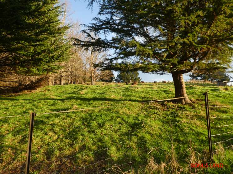 51 Needles Street Kaitangata_14