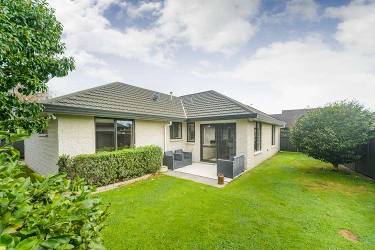 7/63 North Street Palmerston North Central_14