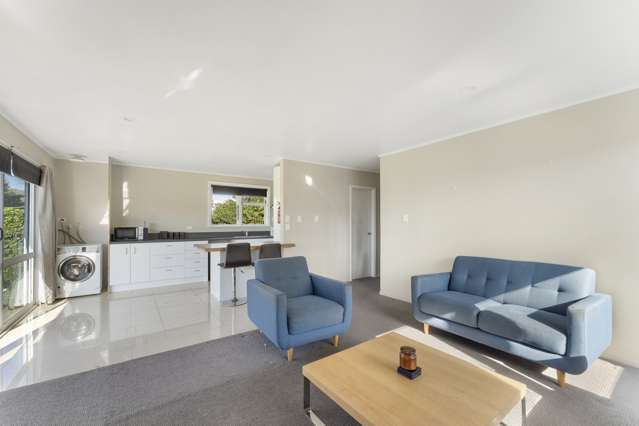 7a Taylor Crescent Blenheim Central_4