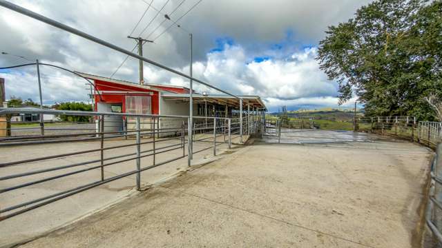 103A Ginn Road Huntly_4