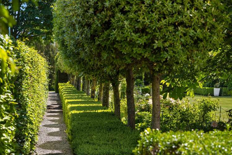 31 Inkerman Street Renwick_33