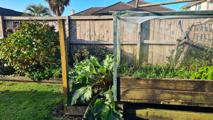 24/16 Rototuna Road Flagstaff_30