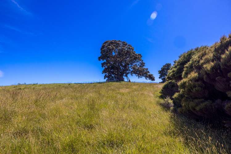 32A Donald Bruce Road Kennedy Point_11