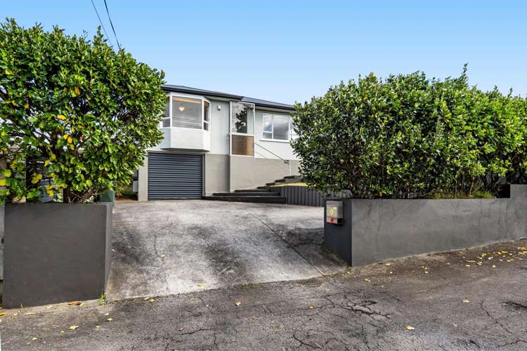 228 Carrington Street Vogeltown_20