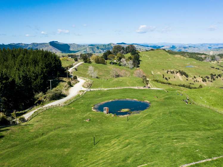 1875 Kanakanaia Road Whatatutu_18