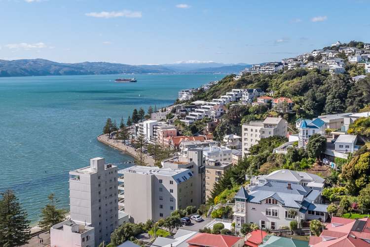 3 Bayview Terrace Oriental Bay_22