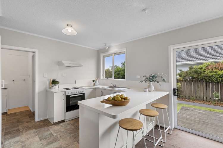 75 Mcgarvey Road Whakatane_5