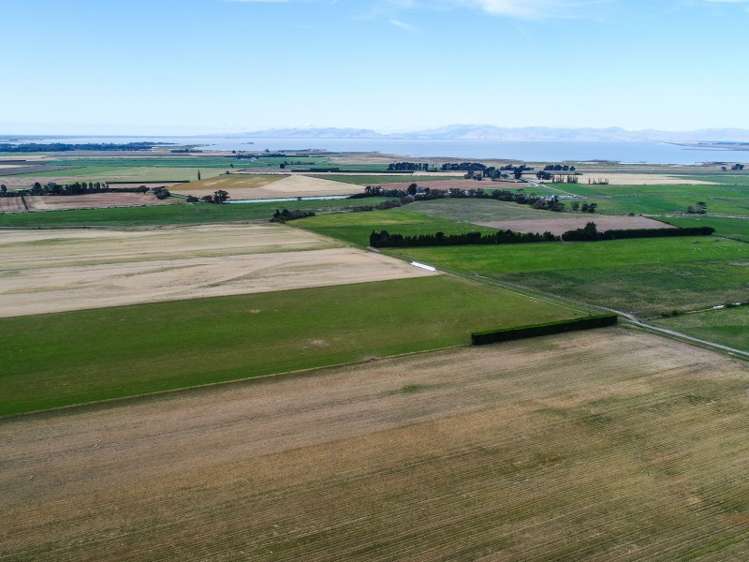 655 Leeston Taumutu Road Southbridge_8