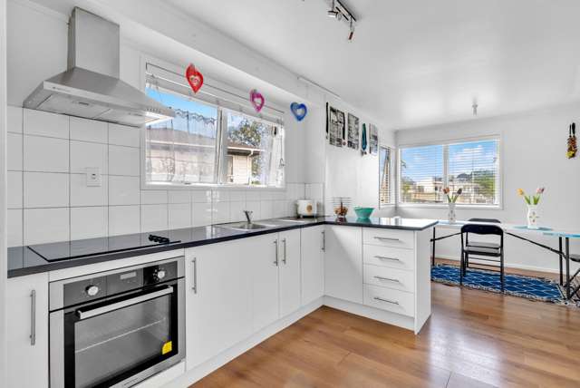 342 Roscommon Road Clendon Park_1