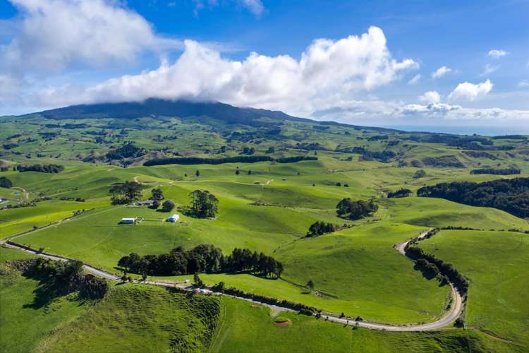 554 Maungatawhiri Road (bare block) Raglan_9