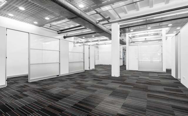 72 Dominion Road Mount Eden_3