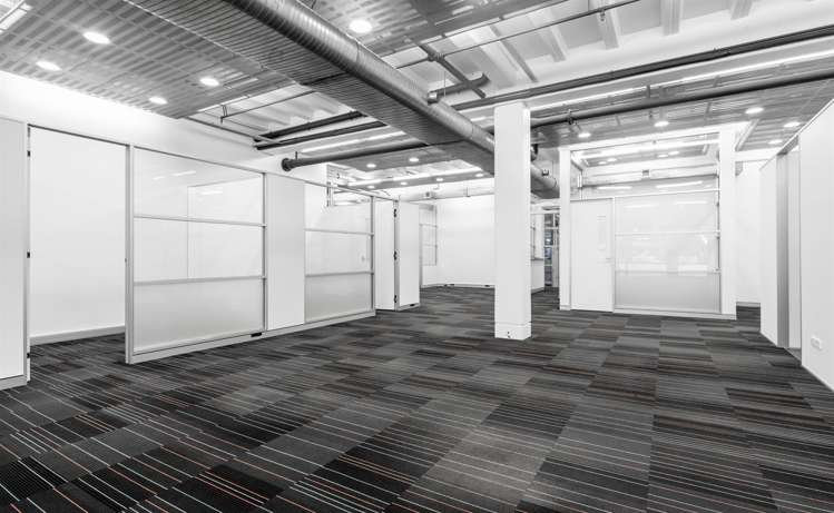 72 Dominion Road Mount Eden_3