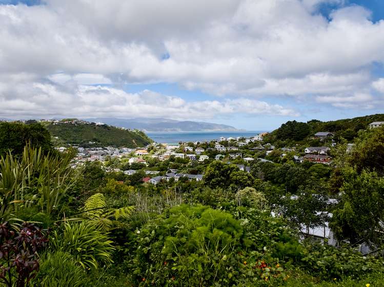 38a Frobisher Street Island Bay_9