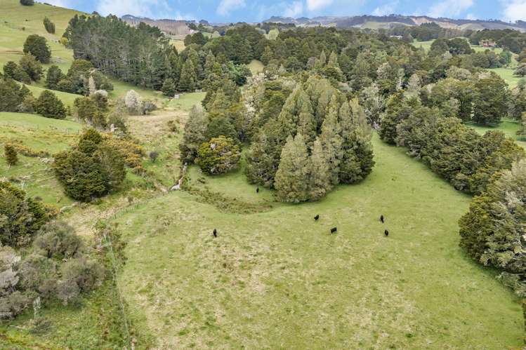 Lot 1, 106 Totara Park Lane Glenbervie_15