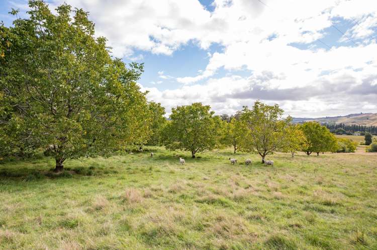 71 Cozens Road Dovedale_26