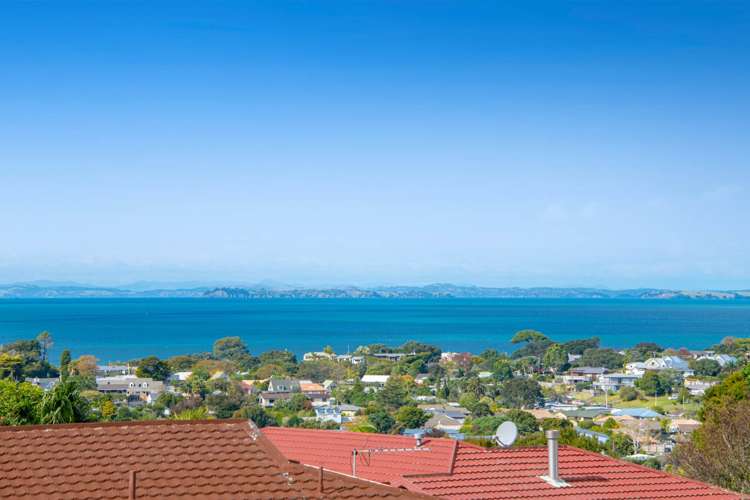 1a Layton Road Manly_18