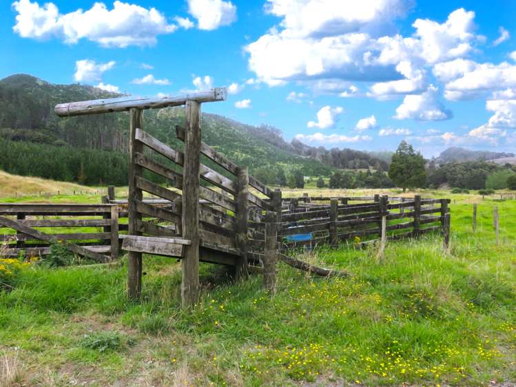 2218 Tangowahine Valley Road Dargaville Surrounds_23
